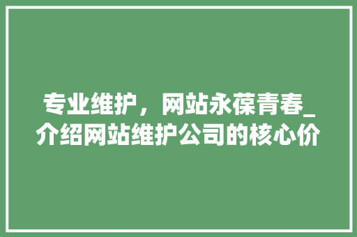 专业维护，网站永葆青春_介绍网站维护公司的核心价值 网站建设公司