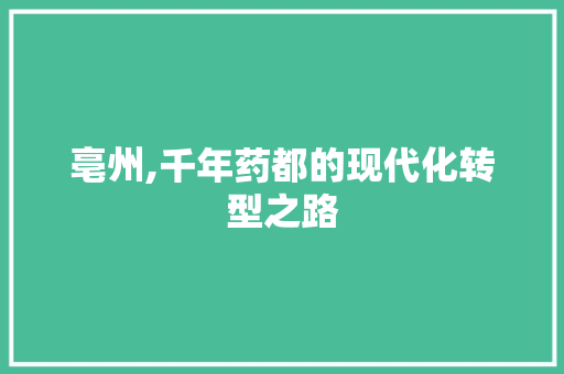亳州,千年药都的现代化转型之路