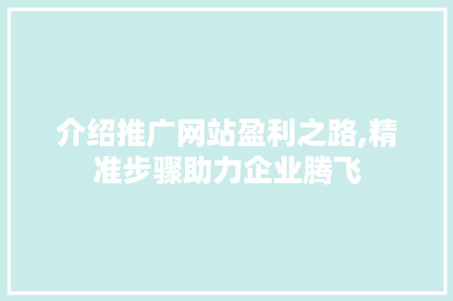 介绍推广网站盈利之路,精准步骤助力企业腾飞