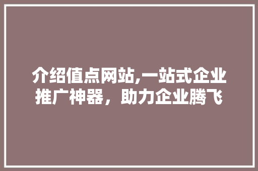 介绍值点网站,一站式企业推广神器，助力企业腾飞 百度SEO