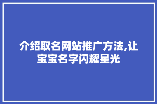 介绍取名网站推广方法,让宝宝名字闪耀星光 网站建设公司