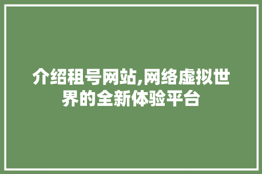 介绍租号网站,网络虚拟世界的全新体验平台 网站建设公司