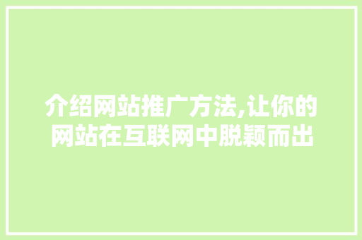 介绍网站推广方法,让你的网站在互联网中脱颖而出