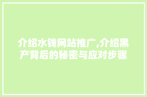 介绍水钱网站推广,介绍黑产背后的秘密与应对步骤 神马SEO