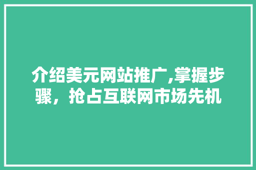 介绍美元网站推广,掌握步骤，抢占互联网市场先机