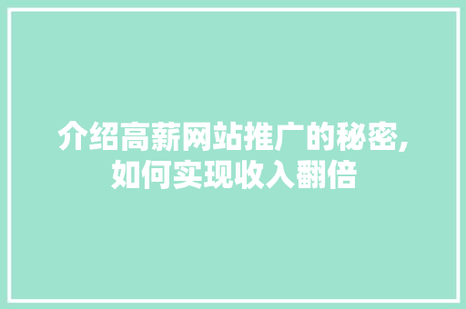 介绍高薪网站推广的秘密,如何实现收入翻倍 百度SEO