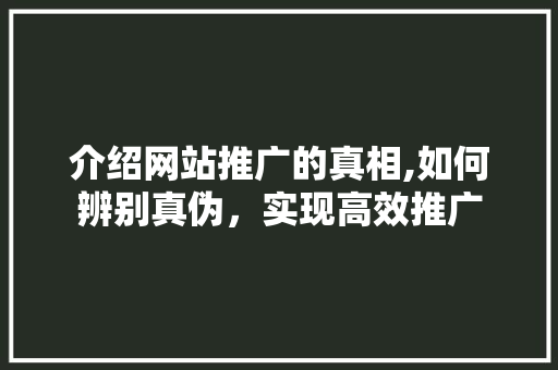 介绍网站推广的真相,如何辨别真伪，实现高效推广