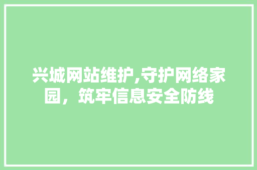 兴城网站维护,守护网络家园，筑牢信息安全防线 必应SEO