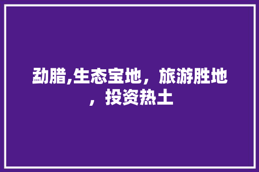 勐腊,生态宝地，旅游胜地，投资热土 必应SEO