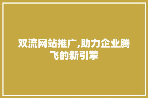 双流网站推广,助力企业腾飞的新引擎 百度SEO