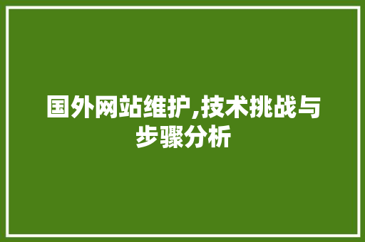 国外网站维护,技术挑战与步骤分析 百度SEO
