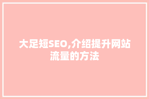 大足短SEO,介绍提升网站流量的方法 百度SEO