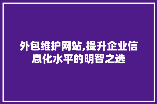 外包维护网站,提升企业信息化水平的明智之选 网站建设公司