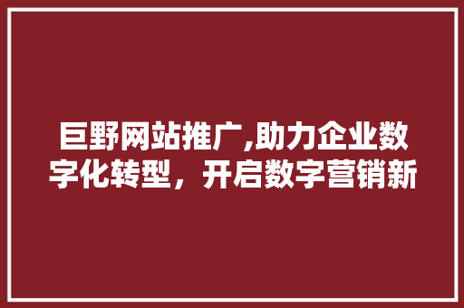巨野网站推广,助力企业数字化转型，开启数字营销新时代 搜狗SEO