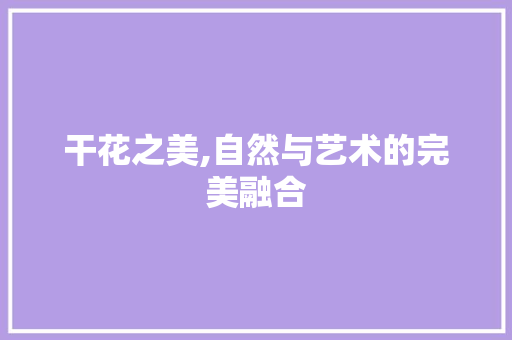 干花之美,自然与艺术的完美融合 SEO关键词