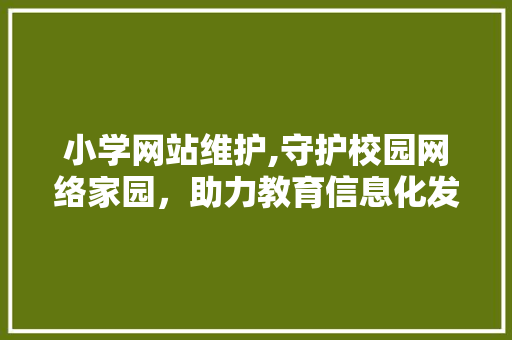 小学网站维护,守护校园网络家园，助力教育信息化发展