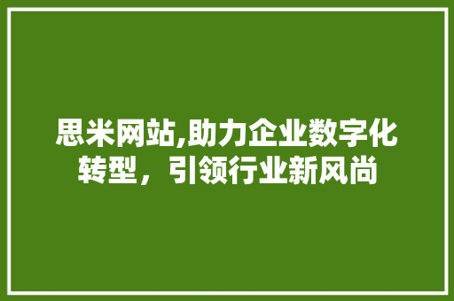思米网站,助力企业数字化转型，引领行业新风尚 SEO关键词