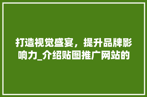 打造视觉盛宴，提升品牌影响力_介绍贴图推广网站的 神马SEO