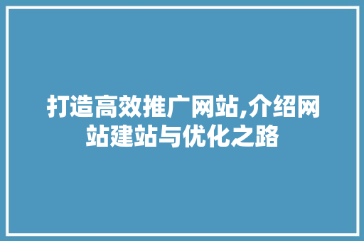 打造高效推广网站,介绍网站建站与优化之路 SEO关键词
