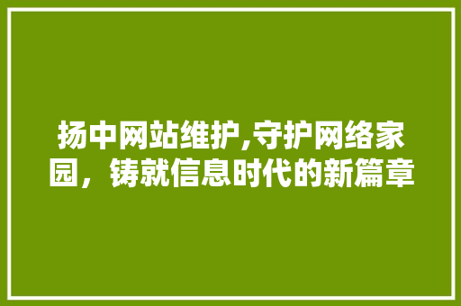 扬中网站维护,守护网络家园，铸就信息时代的新篇章 网站建设公司