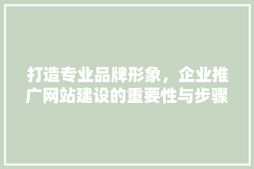 打造专业品牌形象，企业推广网站建设的重要性与步骤 搜狗SEO