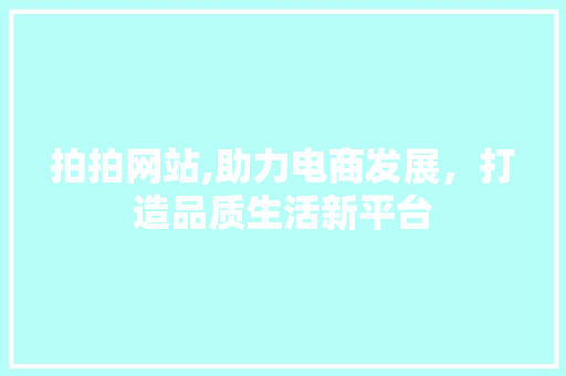拍拍网站,助力电商发展，打造品质生活新平台 网站建设公司
