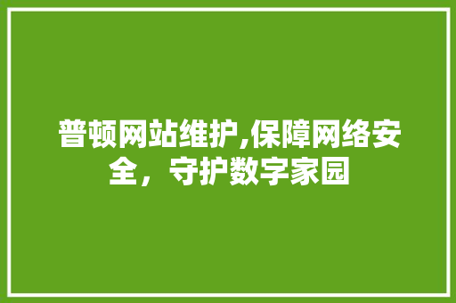 普顿网站维护,保障网络安全，守护数字家园