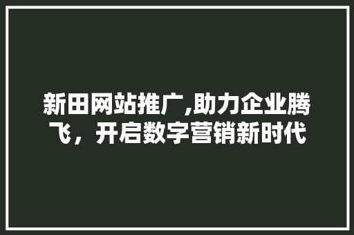 新田网站推广,助力企业腾飞，开启数字营销新时代 搜狗SEO