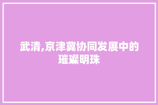 武清,京津冀协同发展中的璀璨明珠 网站建设公司