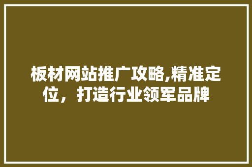 板材网站推广攻略,精准定位，打造行业领军品牌 必应SEO