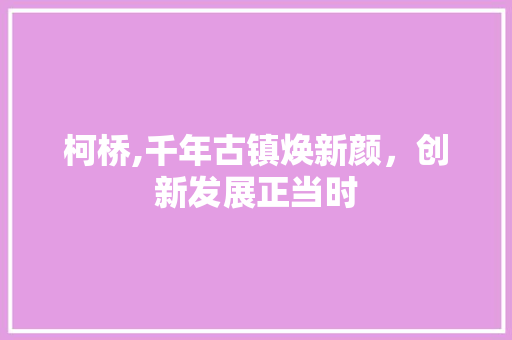 柯桥,千年古镇焕新颜，创新发展正当时