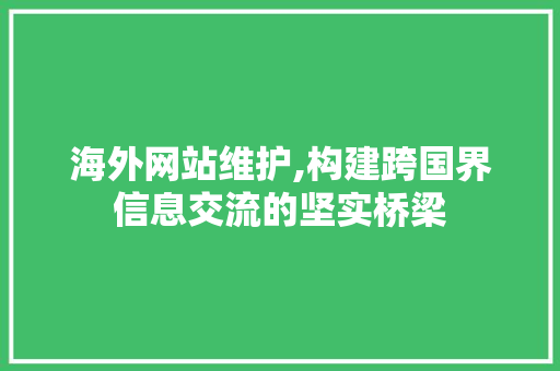 海外网站维护,构建跨国界信息交流的坚实桥梁 百度SEO
