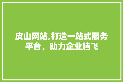 皮山网站,打造一站式服务平台，助力企业腾飞 神马SEO