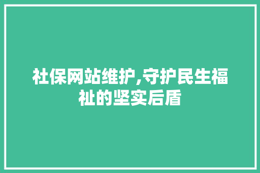社保网站维护,守护民生福祉的坚实后盾