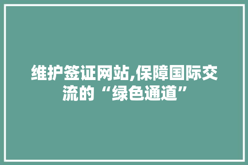 维护签证网站,保障国际交流的“绿色通道” 网站建设公司