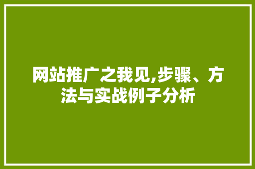 网站推广之我见,步骤、方法与实战例子分析 神马SEO