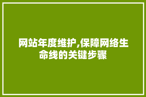 网站年度维护,保障网络生命线的关键步骤