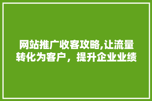 网站推广收客攻略,让流量转化为客户,提升企业业绩 SEO关键词 网站推广收客攻略,让流量转化为客户,提升企业业绩 SEO关键词