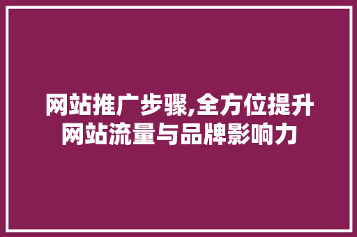网站推广步骤,全方位提升网站流量与品牌影响力 网站建设公司