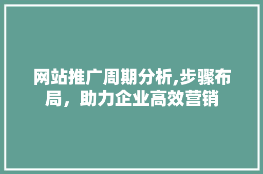 网站推广周期分析,步骤布局，助力企业高效营销 搜狗SEO