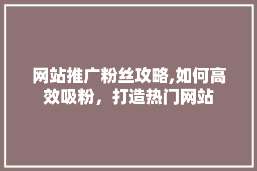 网站推广粉丝攻略,如何高效吸粉，打造热门网站 SEO关键词