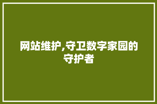 网站维护,守卫数字家园的守护者