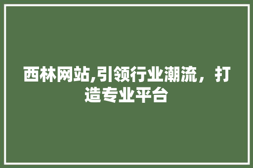 西林网站,引领行业潮流，打造专业平台