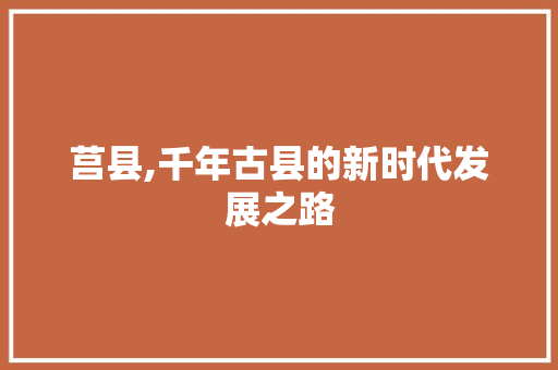 莒县,千年古县的新时代发展之路 网站建设公司