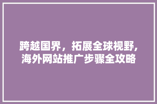 跨越国界，拓展全球视野,海外网站推广步骤全攻略