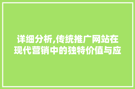 详细分析,传统推广网站在现代营销中的独特价值与应用步骤 必应SEO