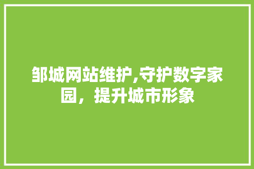邹城网站维护,守护数字家园，提升城市形象 SEO关键词