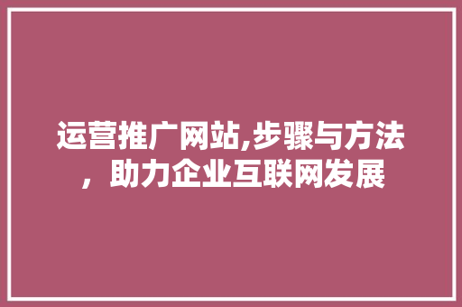 运营推广网站,步骤与方法，助力企业互联网发展