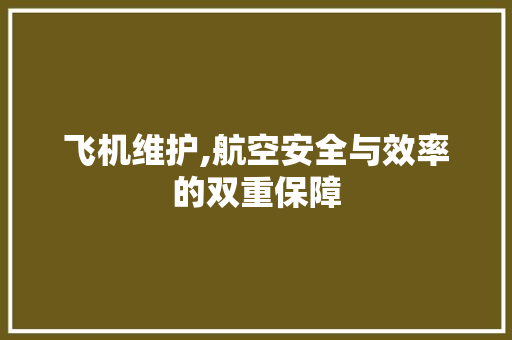 飞机维护,航空安全与效率的双重保障