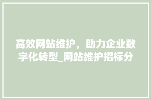 高效网站维护，助力企业数字化转型_网站维护招标分析 SEO关键词